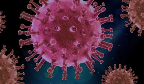 HerbsPro - Immune System Support Supplements & Vitamins