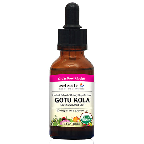 Gotu Kola 1 Oz with Alcohol by Eclectic Herb