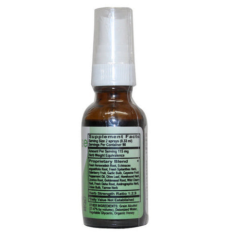 Naturverse, Sinus Blaster Spray, 1 Oz