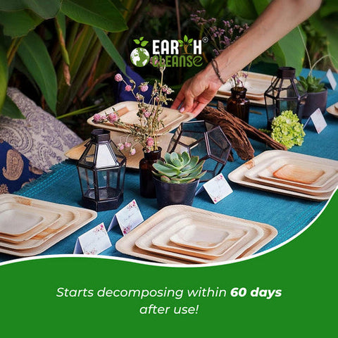 Earth Cleanse, Areca Palm Leaf Square Plates 10-Inch, Pack of 200 Earth Cleanse